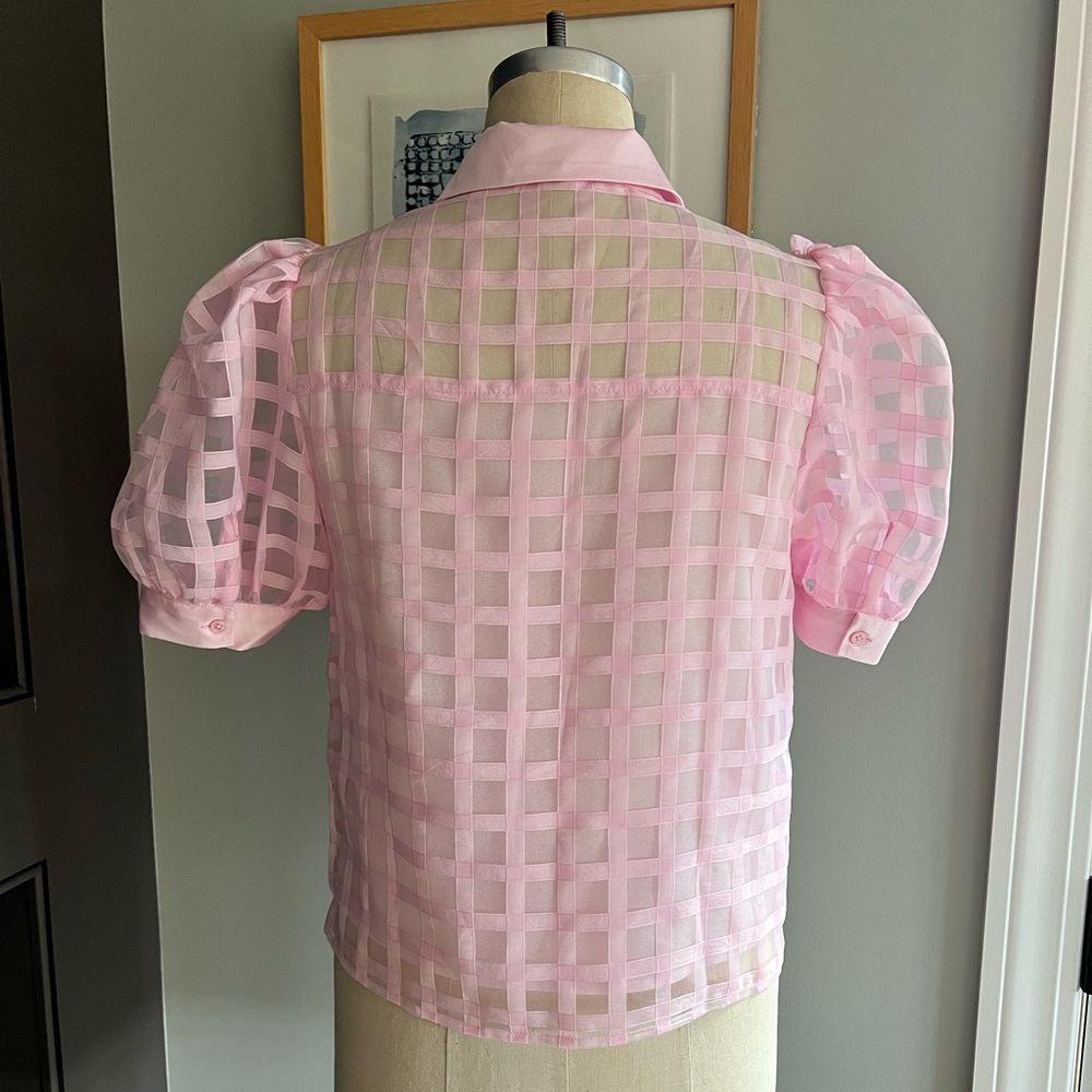 English Factory Pink Sheer Grid Button-Down Blouse - Picture 9 of 16